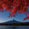 The majestic Mt. Fuji of autumn season 