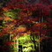 長瀞　紅葉5