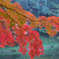 小石川後楽園_紅葉
