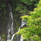 雨のおかげで