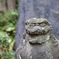 小石川後楽園