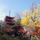 秋の長谷山 本土寺 2018
