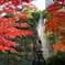 日比谷公園 - 2