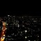 東京夜光