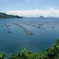 宇和海
