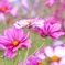 F51E1CD6-FA10-44AB-AB08-9560AB7E07DF
