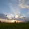 Glow of The Sunset