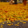 late autumn