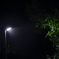 雨の夜は。