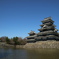 春陽の城
