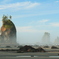 olympic national park: coastal strip