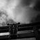 京都