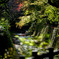 京都