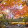 東福寺