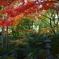 栄摂院・庭園