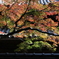 足利学校・２