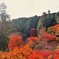 長谷寺の紅葉 ～紅と朱の共演～