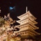 東寺〜ライトアップ〜2018✨✨✨