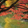 日比谷公園1