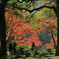 日比谷公園3