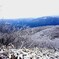 那岐山　雪景色２