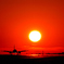 熊本空港