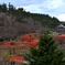 高山稲荷神社