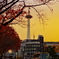 late autumn 4
