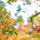 紅の攻防