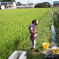 夏休み 魚釣り