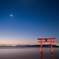 夜明けの星空