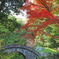 小石川後楽園