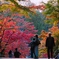 円覚寺