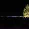 ORG_DSC00034
