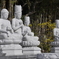 _DSC0566 (1)