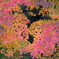 紅葉の彩り