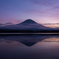 富士山　田貫湖雲海