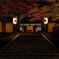 紅葉の灯