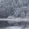 雪降りの景
