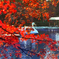 スワンボートと紅葉 t