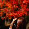 河口湖で紅葉狩り～もみじ回廊 ⑤