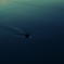 流れ