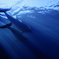 八景島シーパラダイス 光を切るイルカ