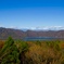 富士の樹海