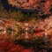 醍醐寺