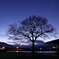 Silhouette before dawn