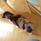 ネコ