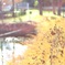 菰池公園