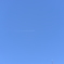 DSC_1484