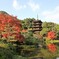 秋の瑠璃光寺五重塔